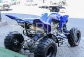 Yamaha Raptor