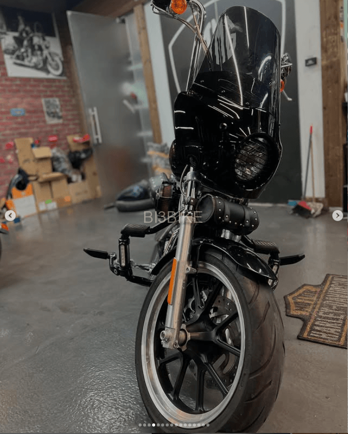 XL 883 L Sportster Ultra Low Fully Customized in mint condition