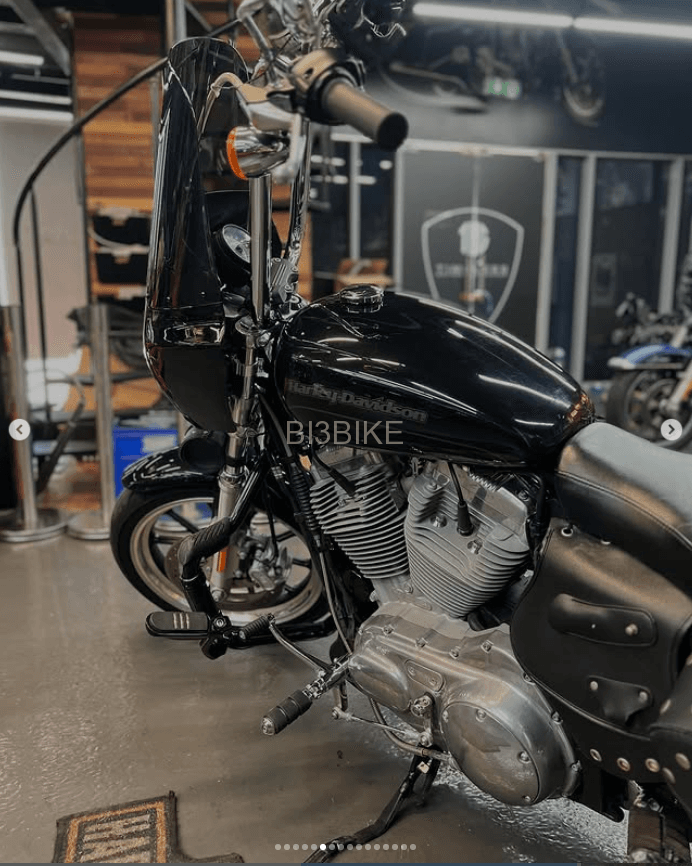 XL 883 L Sportster Ultra Low Fully Customized in mint condition