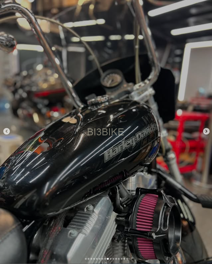 Immaculate 2018 Harley-Davidson Sportster XL883L – A True Custom Gem