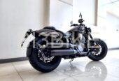 Benda – Chinchilla 500 -Model 2025