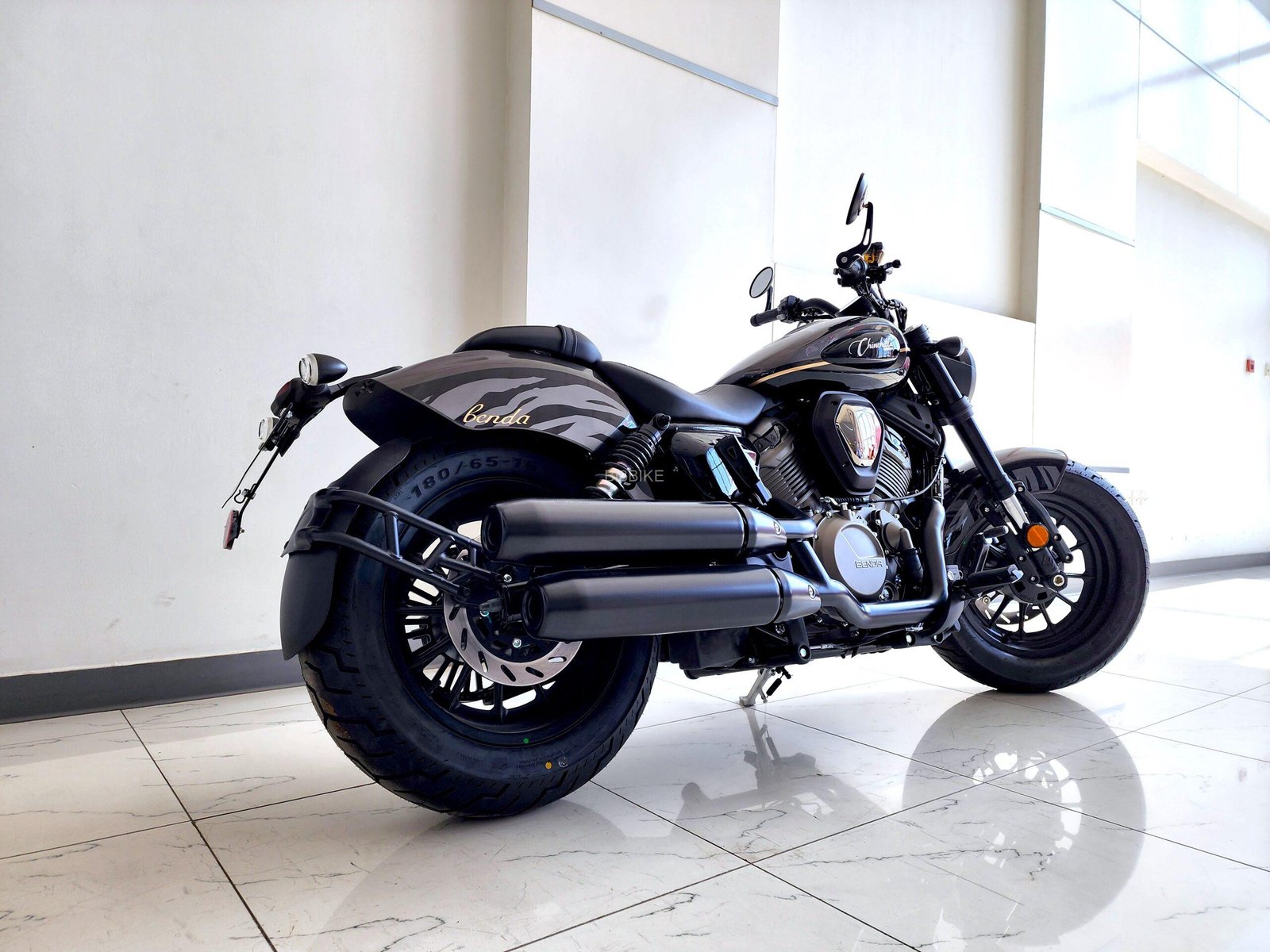 Benda – Chinchilla 500 -Model 2025